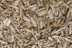biomass boilers Brinsop